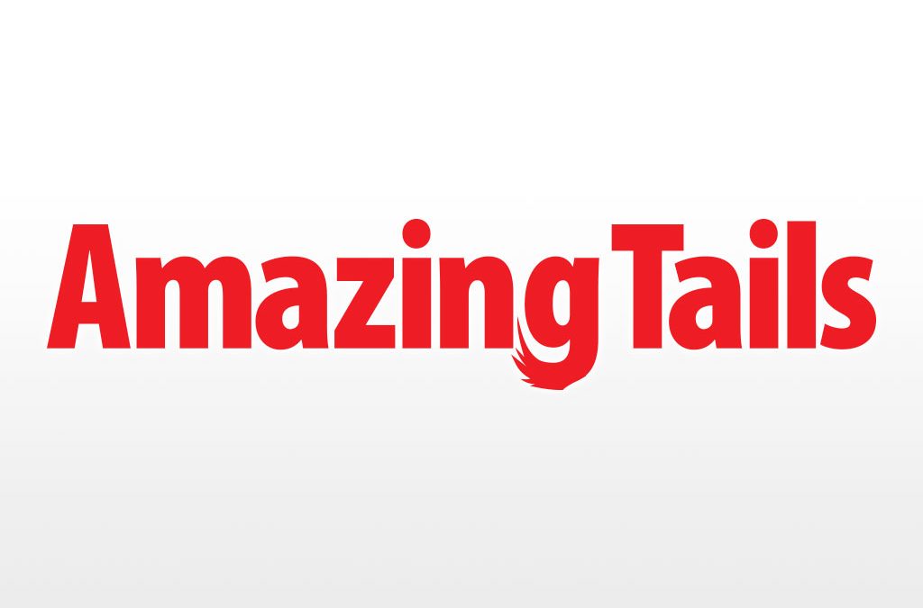 Amazing Tails Logo